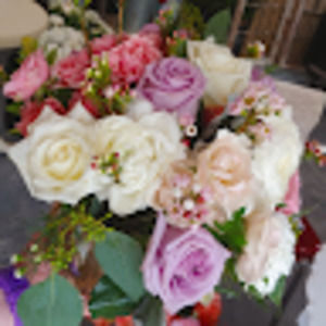 Meet your Posher, Lynn